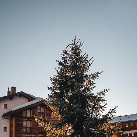 Boutique Hotel Chandolin